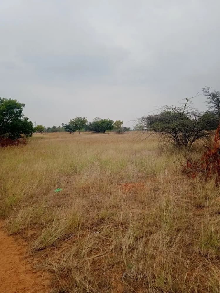 11 Acre Red Soil Land for Sale