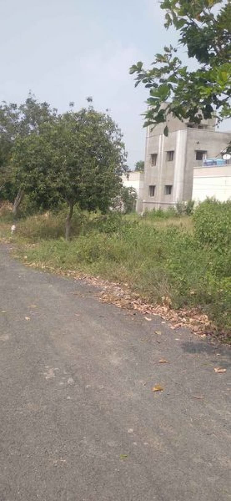 Double Side Phase PLot for Sale