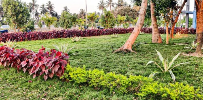 646 sqft Plot