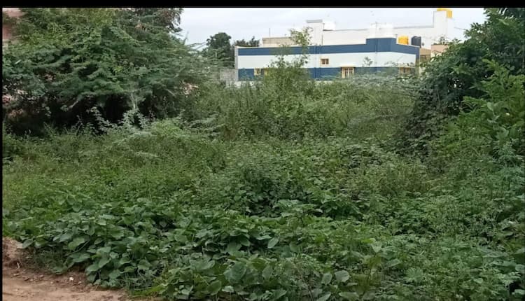 Plot sale