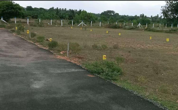 Single Property Image