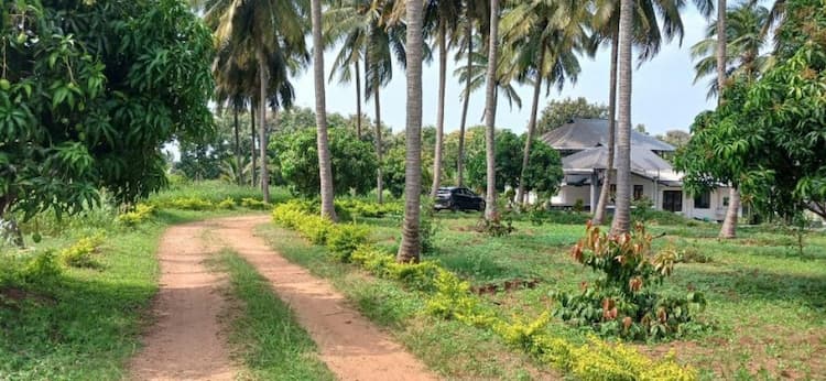 Farm Land For Sale