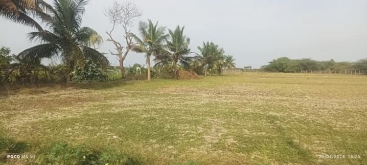 Farm land sale