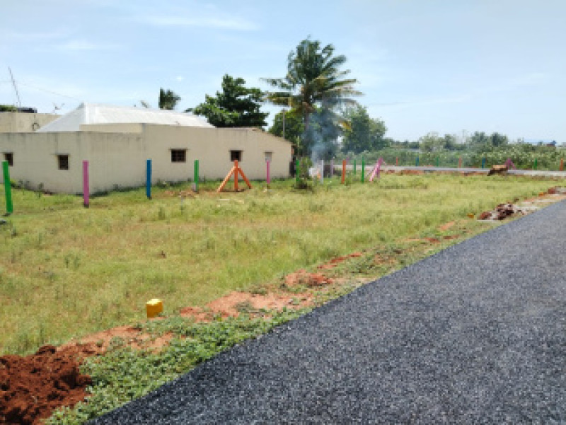Residential plot