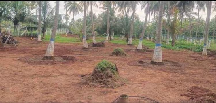 Land sale