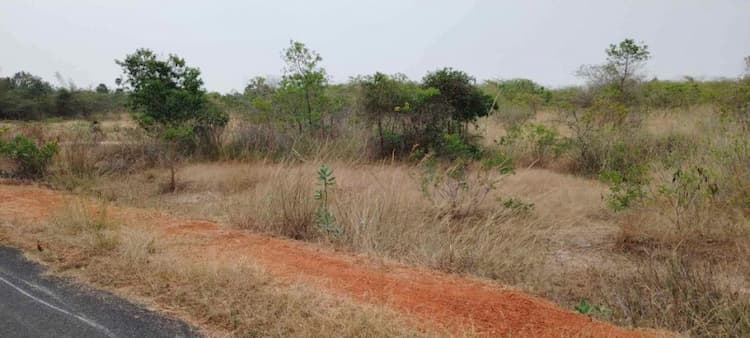 5.50 acre Plot