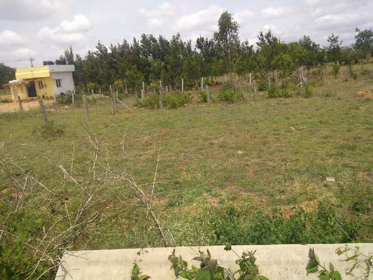 Residential Plot 