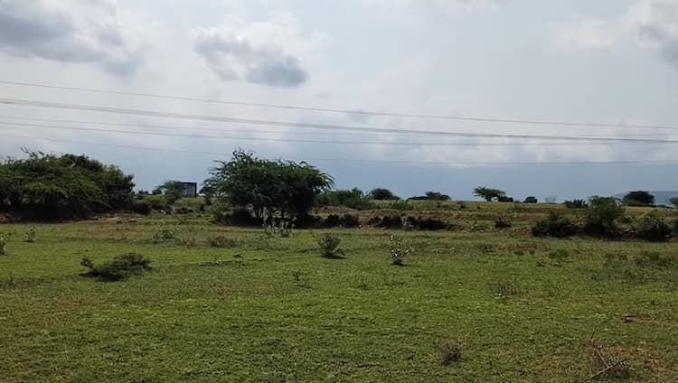 Single Property Image