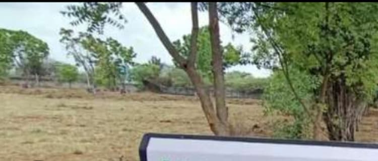 Land for sales