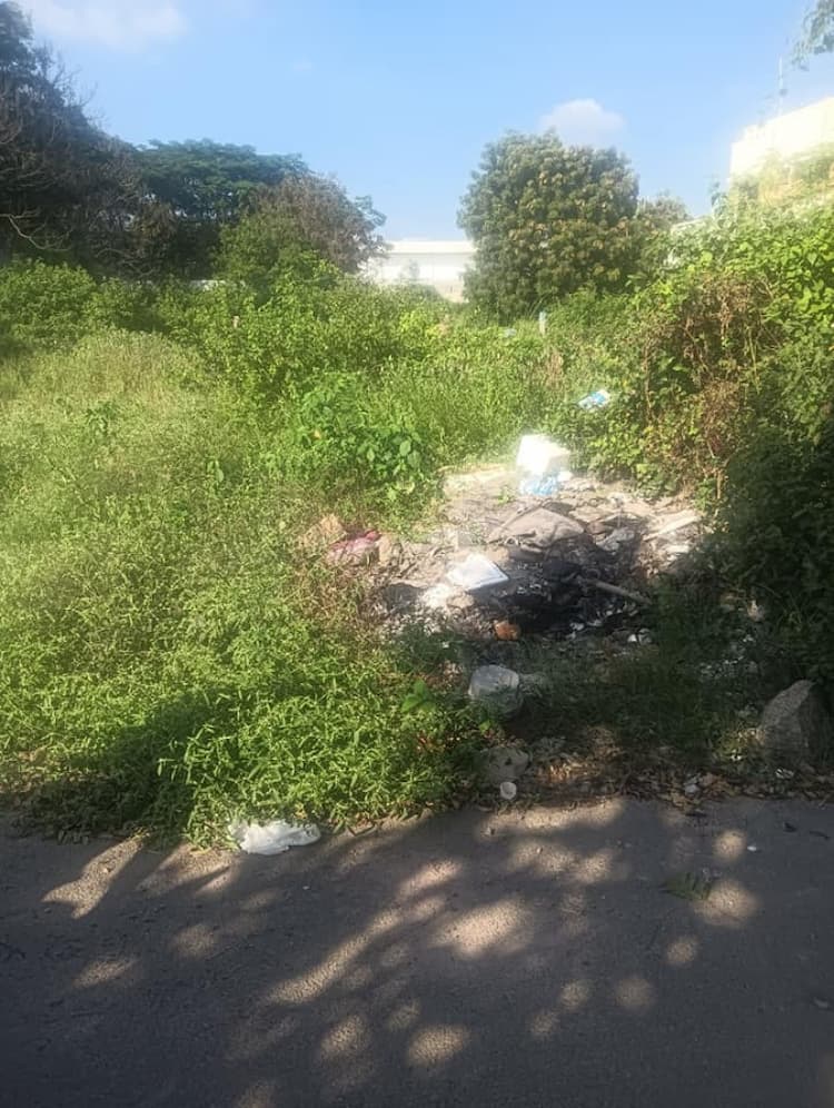 Single Property Image