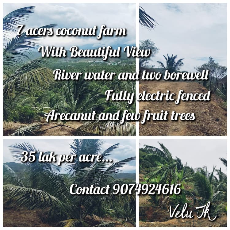 7 acers coconut farm land for sale