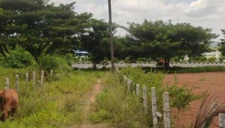 Single Property Image