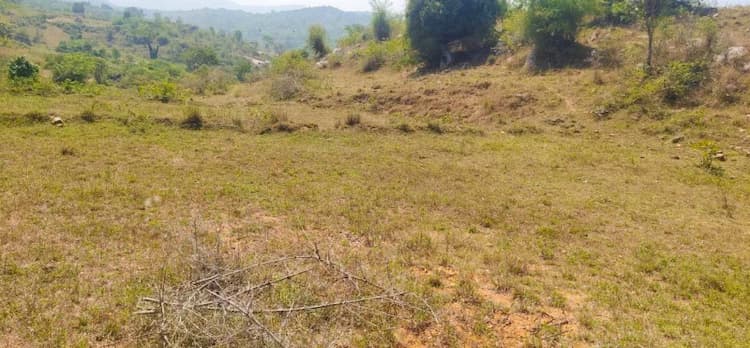 Agricultural Land