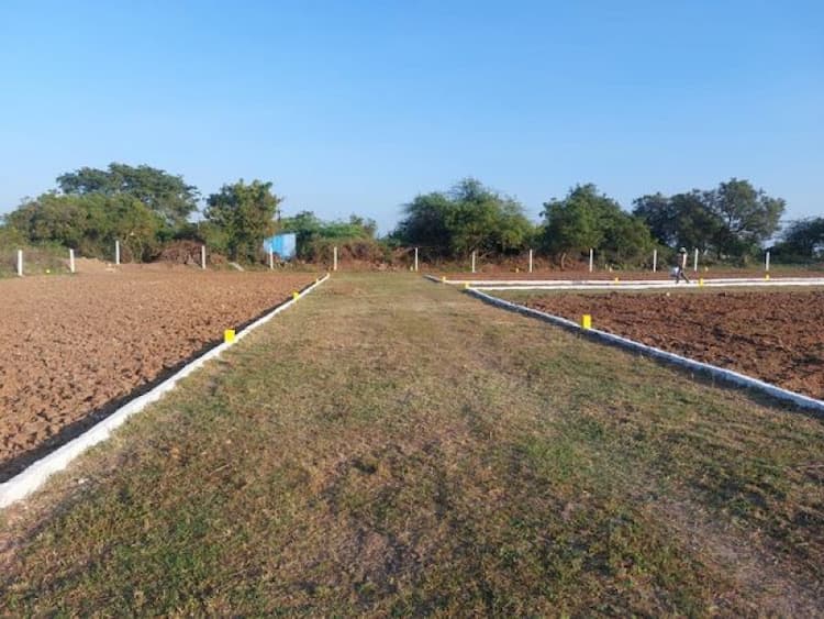 Plot sale