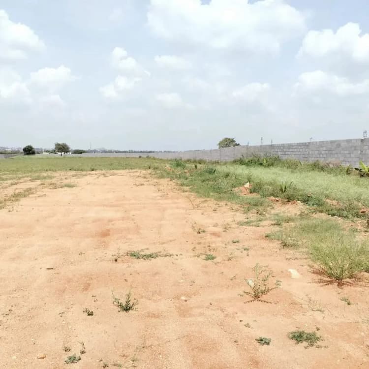 Plot for sale