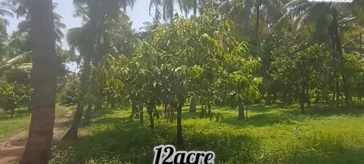 Land for sales