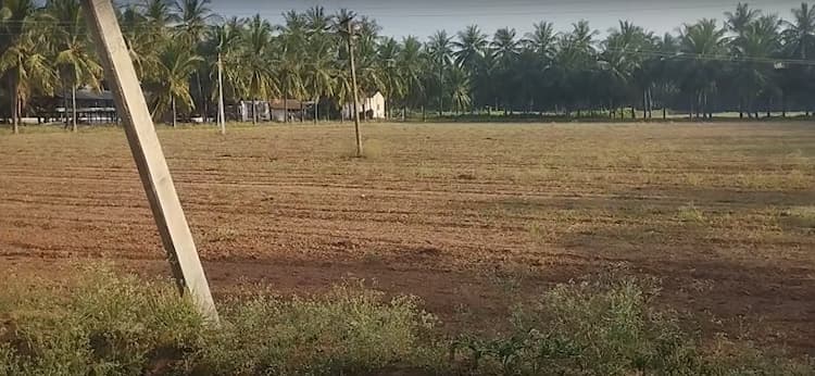 3 Acre Land for Sale