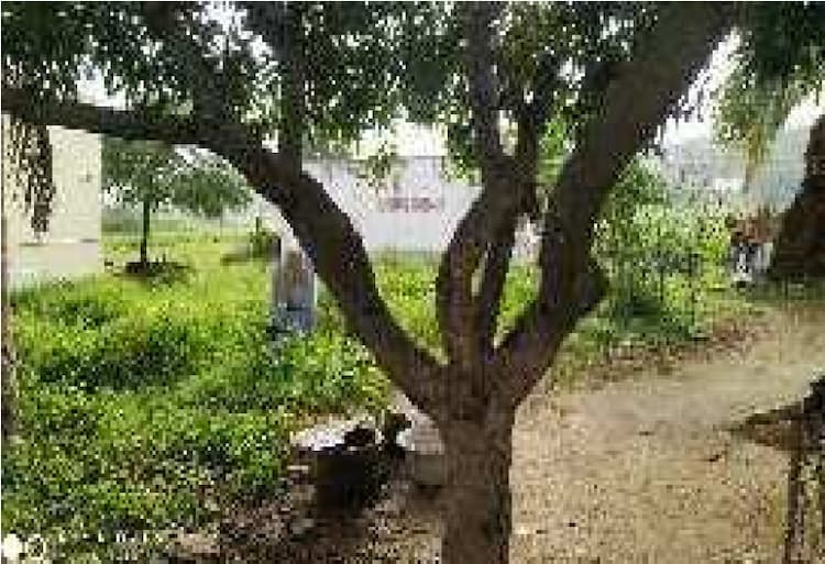 Agricultural Land