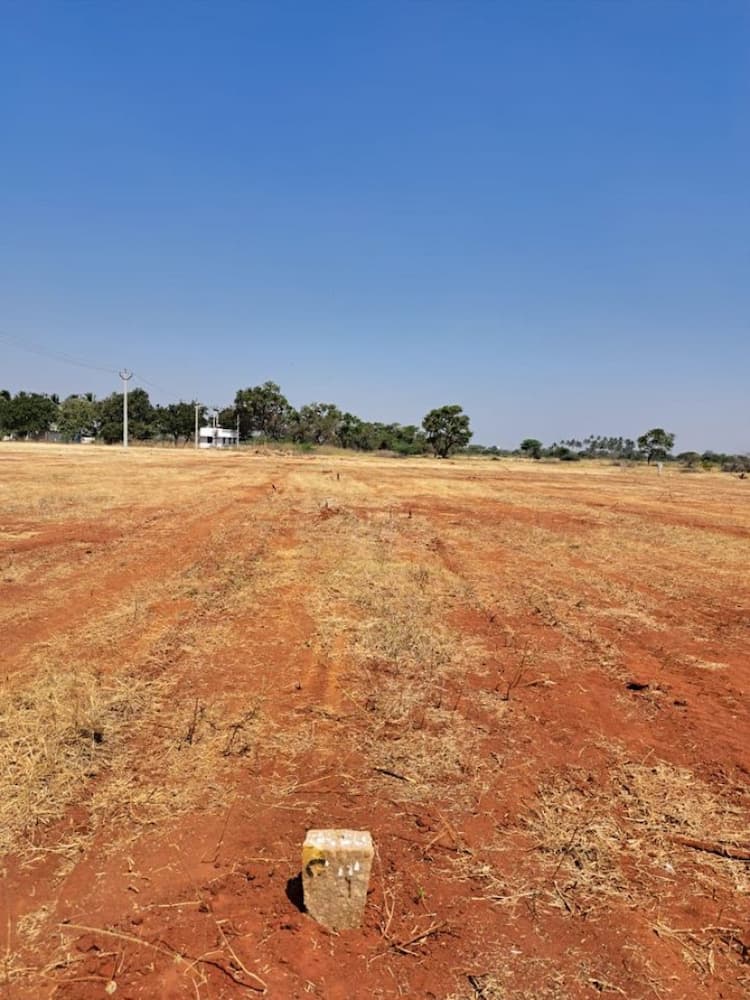 Plot for Sale