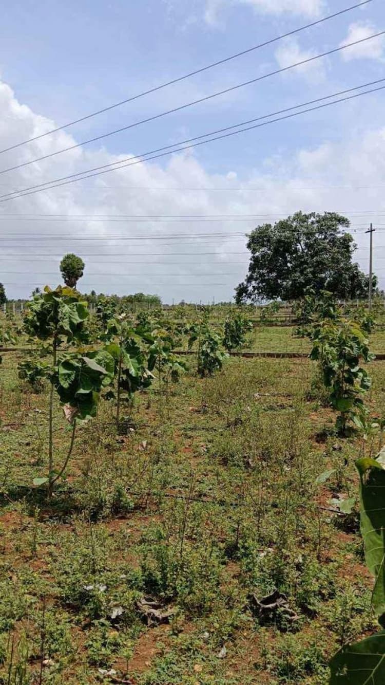 Single Property Image