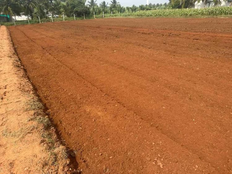 55 Cent Land for Sale