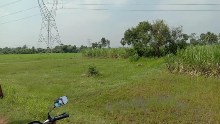 9 Acres punjai  land for sale