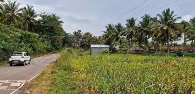 Single Property Image