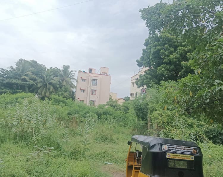 Land for sales