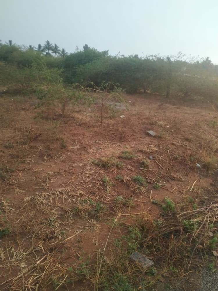 Plot sale