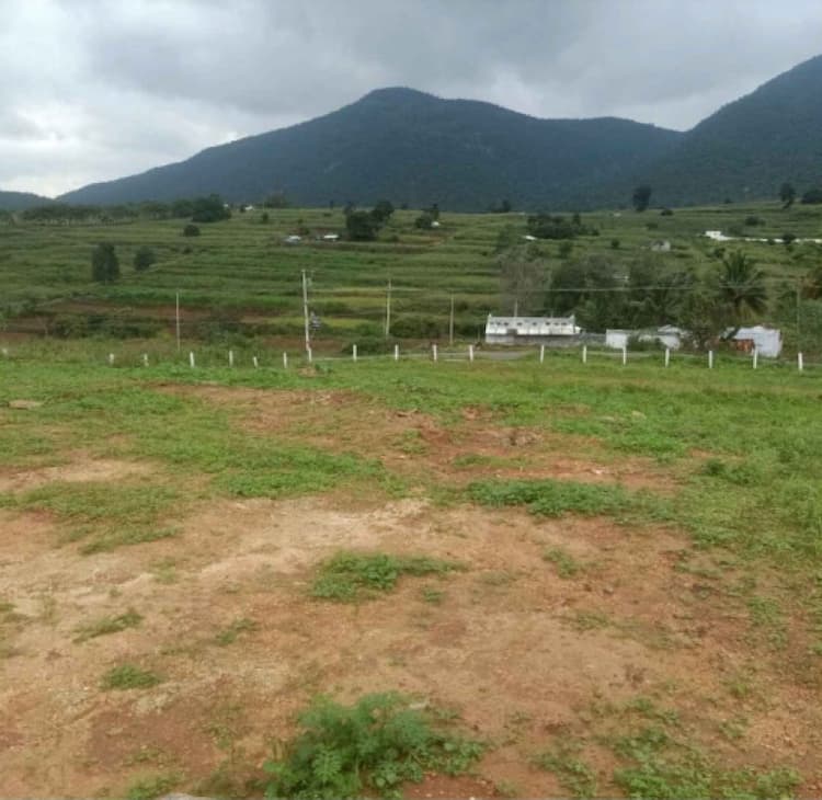 Land for sales