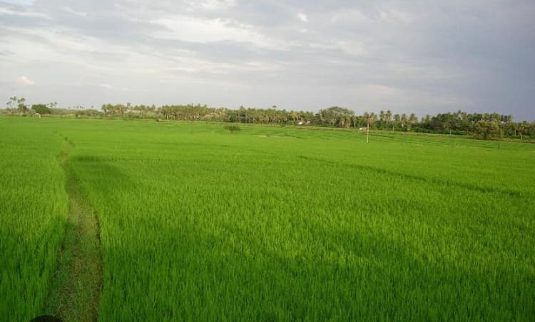 2.5 acre for sales