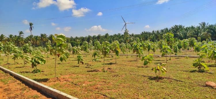 Single Property Image