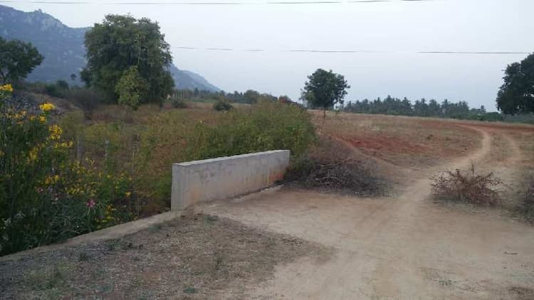 Plot sale
