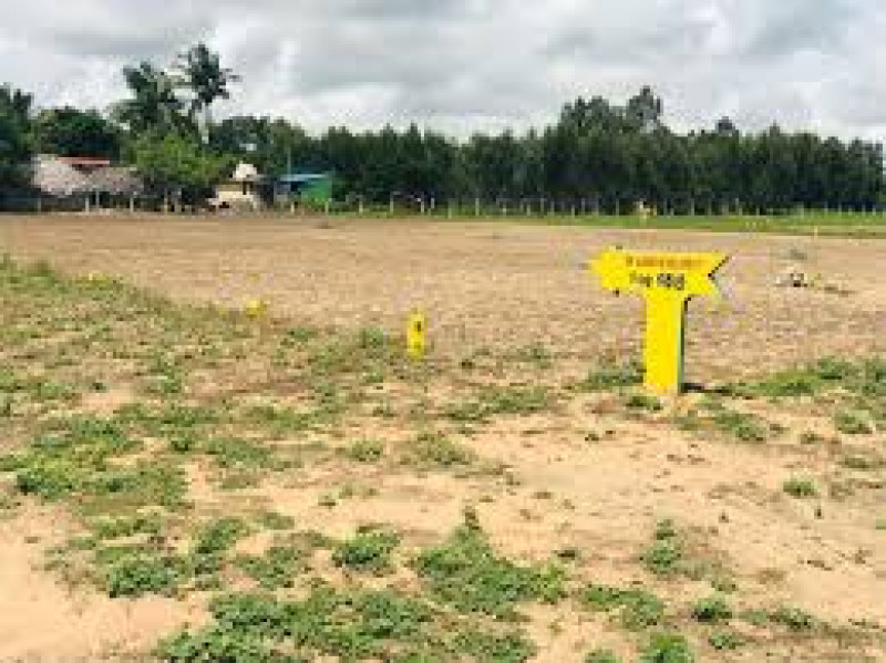 Residential plot
