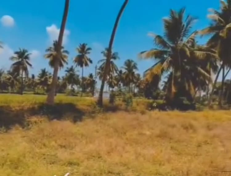 Land for sales