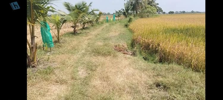 agricultural land for sale