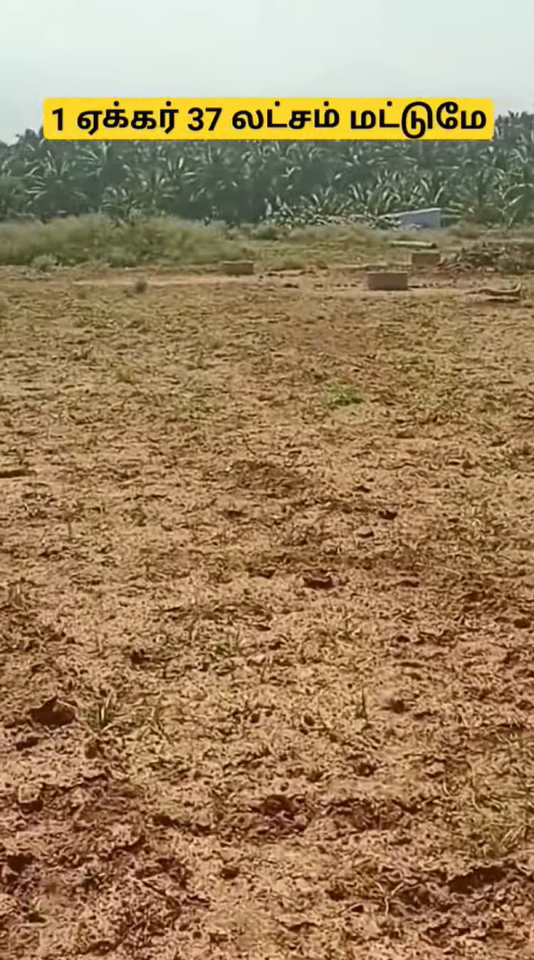 3.30 Acre Farm Land for Sale