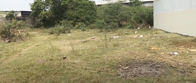 Land for sales