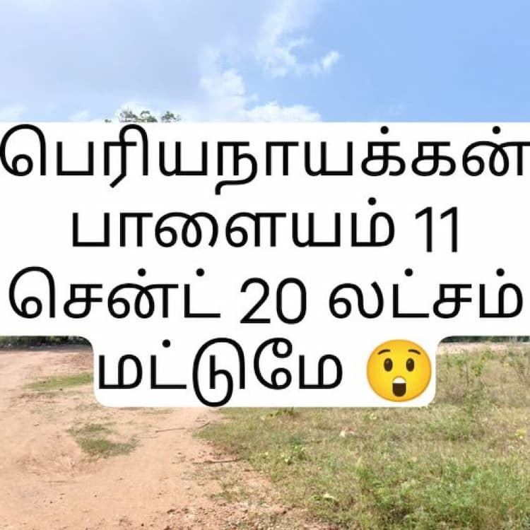 Farm Land For Sale