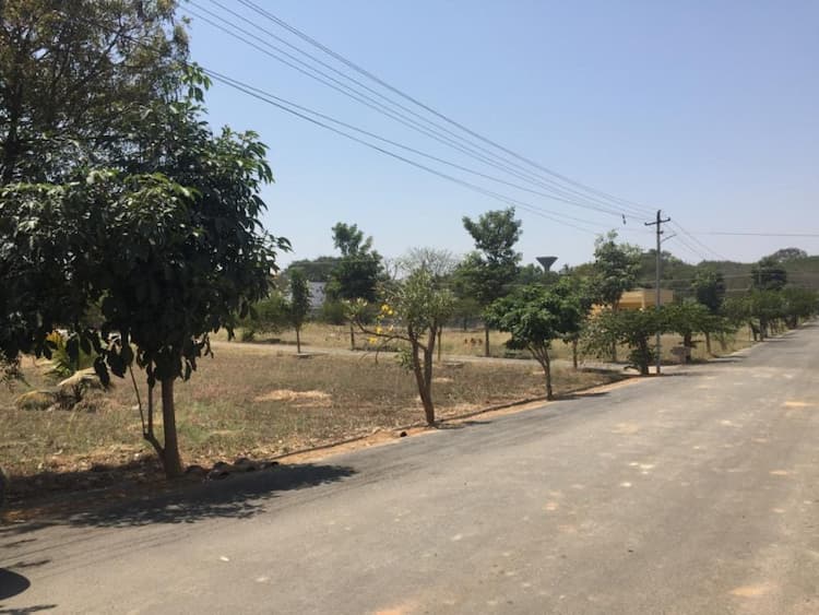 Plot sale