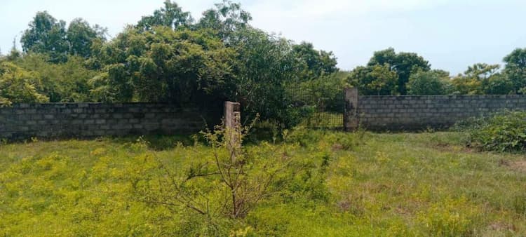 Low budget plot FOR SALE