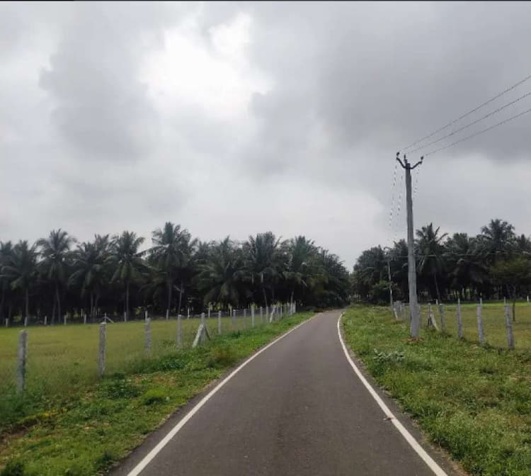 5.50 Acre Land for Sale