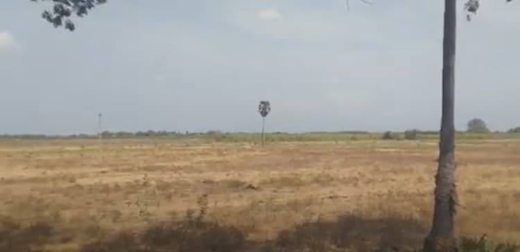 Land for sales