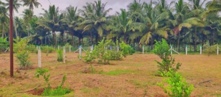 Single Property Image