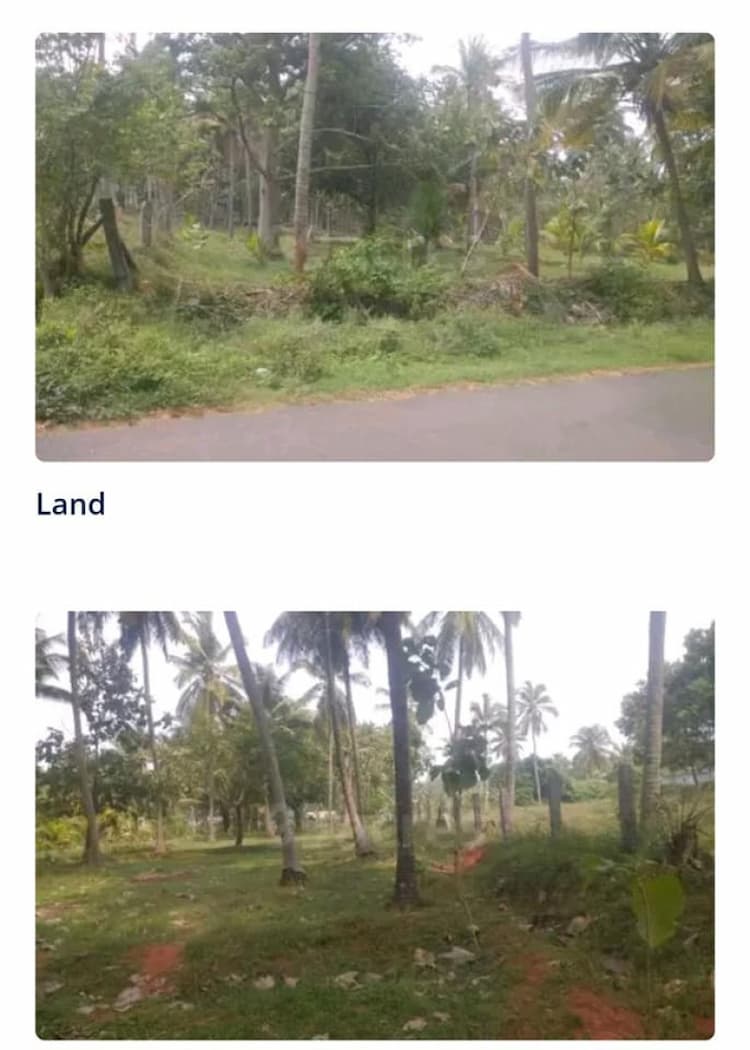  farm land for sale 