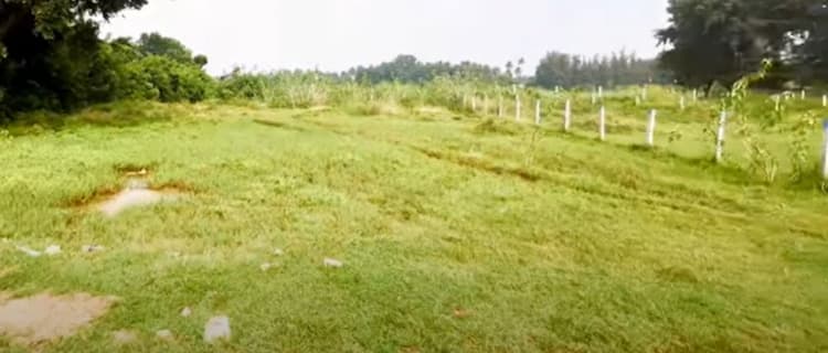 Land for sales