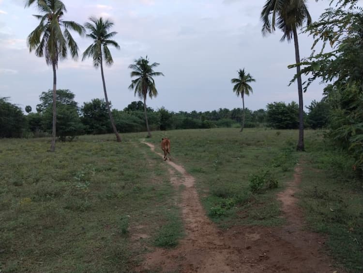 Single Property Image