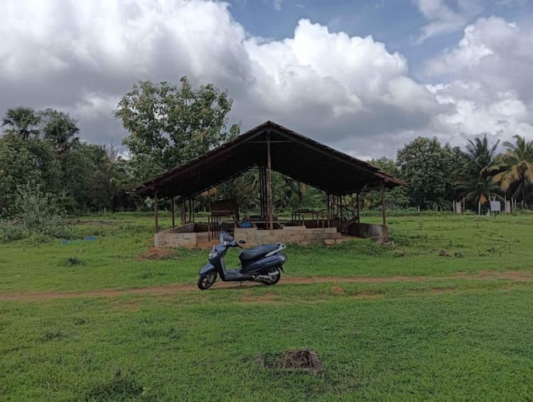 coconut farm land for sale