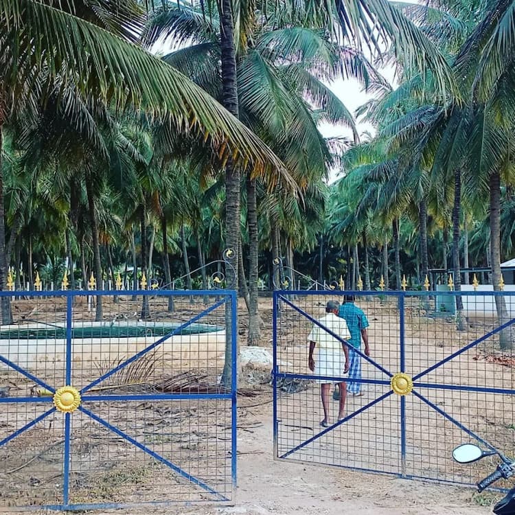 coconut farm land for sale