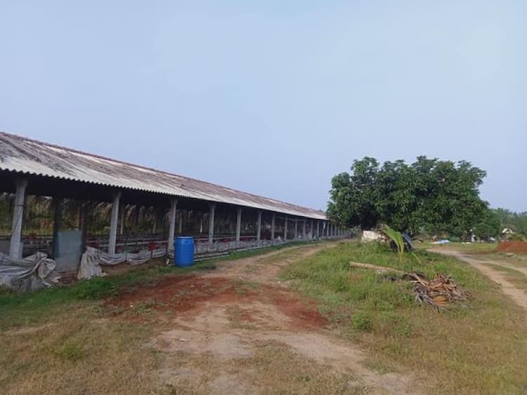 Single Property Image